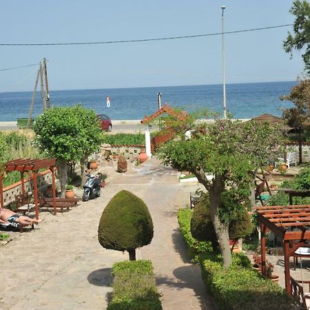 Miramare Ξενοδοχείο Πέτρα Εξωτερικό φωτογραφία